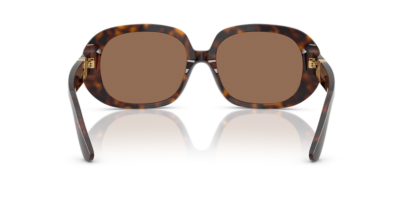 Dolce & Gabbana DG4476 in Havana / Dark Brown (502/73) - Alternate View