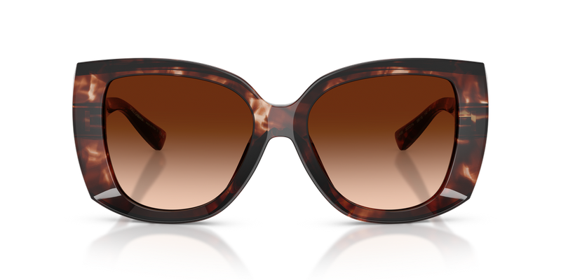 Dolce & Gabbana DG4495 in Dark Red Havana / Brown Gradient (322274) - Alternate View