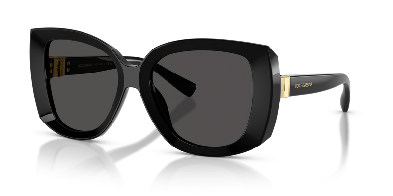 Dolce & Gabbana DG4495 in Black / Dark Grey (501/87) - Alternate View