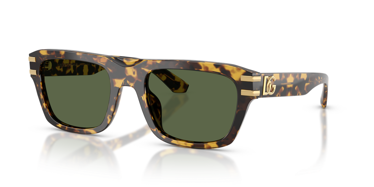 Dolce & Gabbana DG4496
