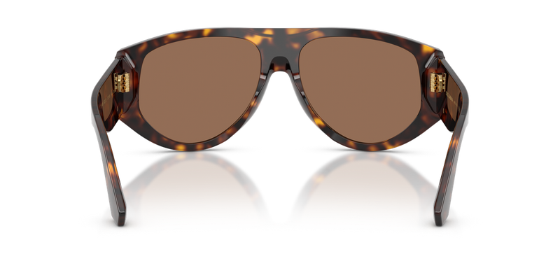 Dolce & Gabbana DG4499 in Havana / Dark Brown (502/73) - Alternate View