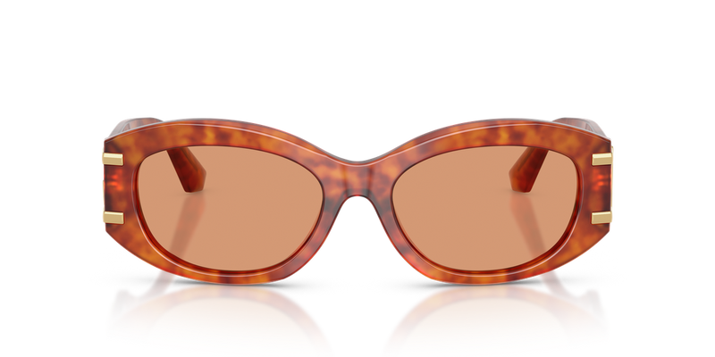 Dolce & Gabbana DG4502 in Camel Havana - Alternate View
