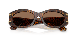 Leo Transparent / Dark Brown (347073)