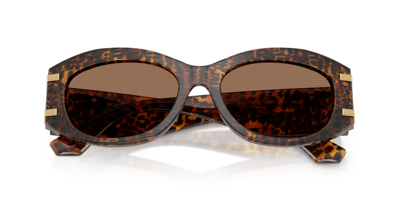 Dolce & Gabbana DG4502 in Leo Transparent - Side View
