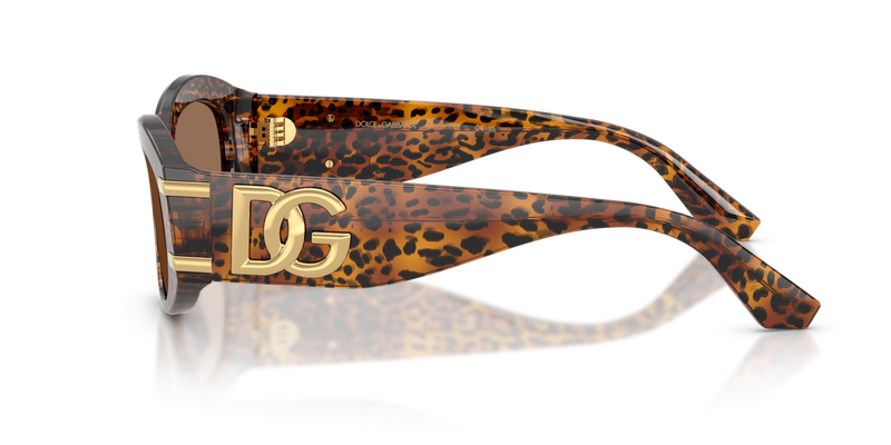 Dolce & Gabbana DG4502 in Leo Transparent - Back View