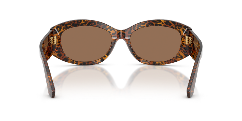 Dolce & Gabbana DG4502 in Leo Transparent - Temple Detail