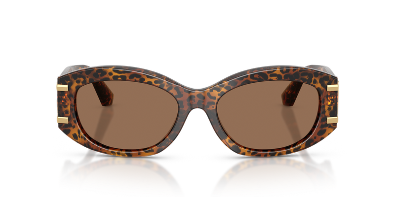 Dolce & Gabbana DG4502 in Leo Transparent - Alternate View