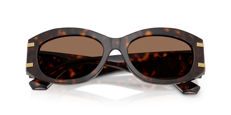 Dolce & Gabbana DG4502 in Havana - Alternate View