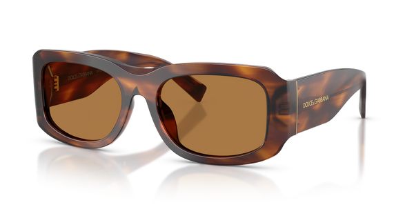 Dolce & Gabbana DG4503