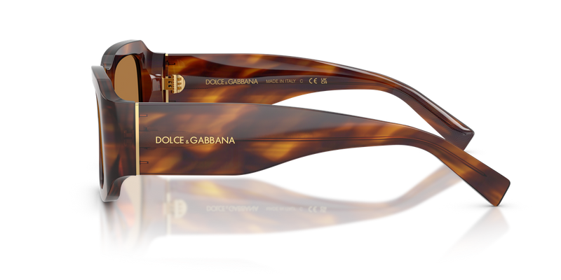 Dolce & Gabbana DG4503 in Striped Brown / Bronze (306373) - Back View