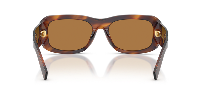 Dolce & Gabbana DG4503 in Striped Brown / Bronze (306373) - Temple Detail