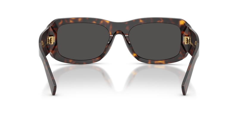Dolce & Gabbana DG4503 in Havana / Dark Grey (502/87) - Alternate View