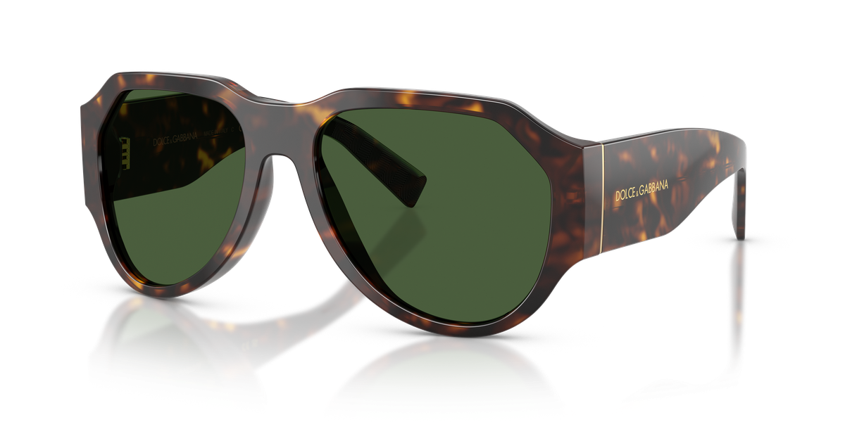 Dolce & Gabbana DG4504