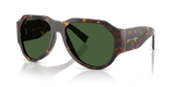 Havana / Dark Green (502/71)