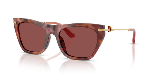 Havana Brown / Dark Violet (344475)