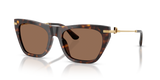 Havana / Dark Brown (502/73)
