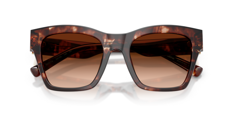 Dolce & Gabbana DG4512 in Dark Red Havana - Alternate View