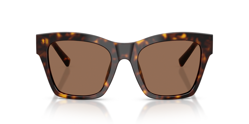 Dolce & Gabbana DG4512 in Havana - Alternate View