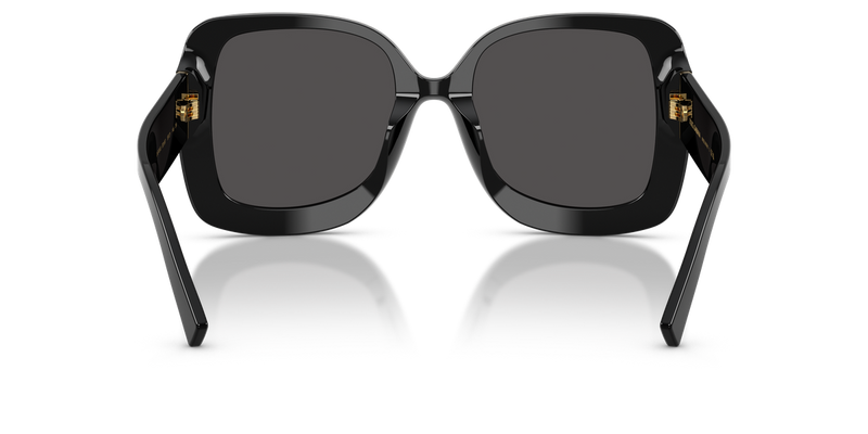 Dolce & Gabbana DG4513 in Black - Alternate View