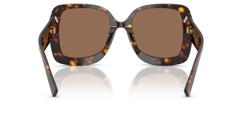 Dolce & Gabbana DG4513 in Havana - Alternate View