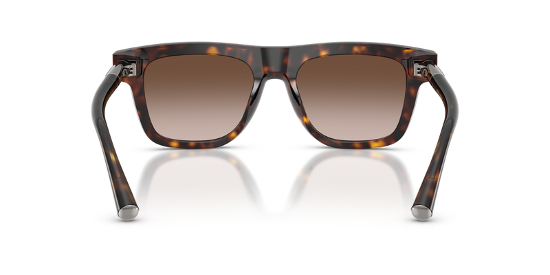 Dolce & Gabbana DG4521 in Havana / Gradient Brown (502/13) - Alternate View
