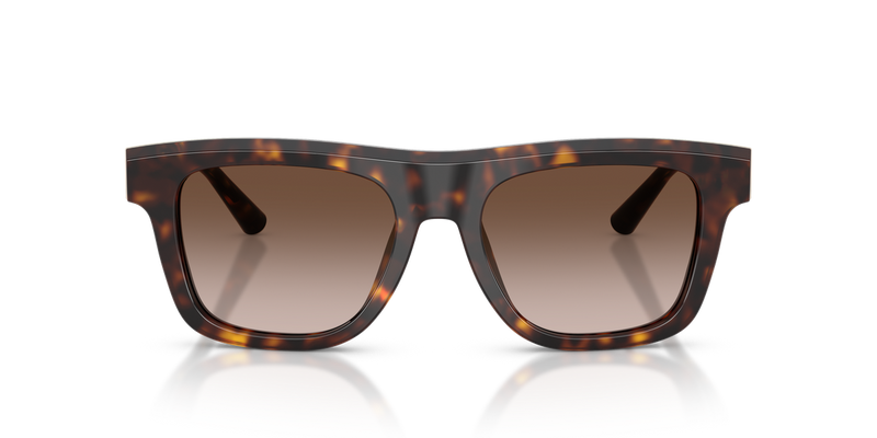 Dolce & Gabbana DG4521 in Havana / Gradient Brown (502/13) - Alternate View