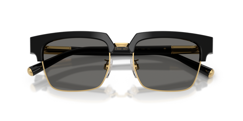 Dolce & Gabbana DG4522 in Black / Grey (501/1) - Alternate View