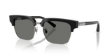 Black / Photo Clear To Grey Quarz (501/M3)