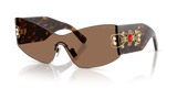 Havana / Dark Brown (502/73)