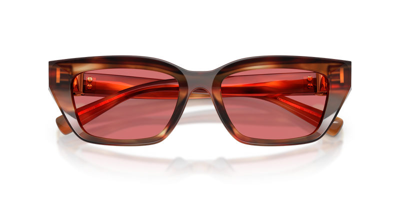 Dolce & Gabbana DG4532 in Striped Brown / Red (322175) - Side View