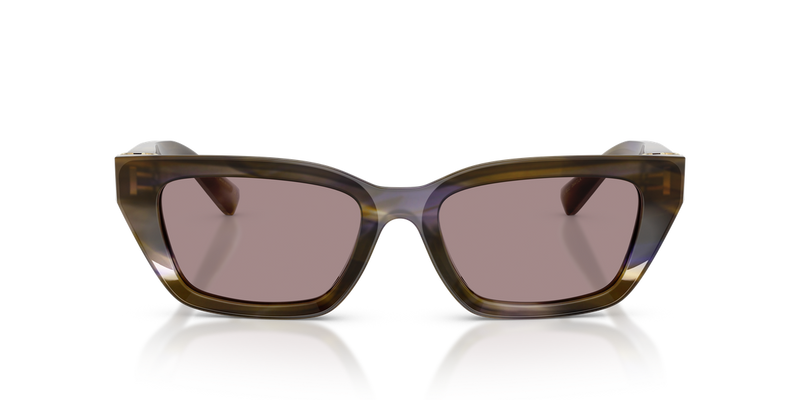 Dolce & Gabbana DG4532 in Striped Olive / Violet (3447LA) - Alternate View