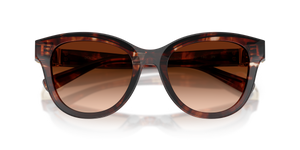 Dark Red Havana / Brown Gradient (322274)