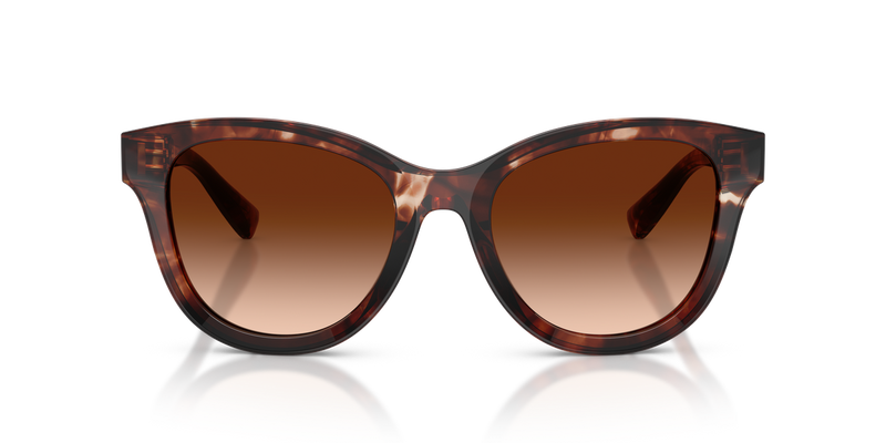 Dolce & Gabbana DG4533 in Dark Red Havana / Brown Gradient (322274) - Alternate View