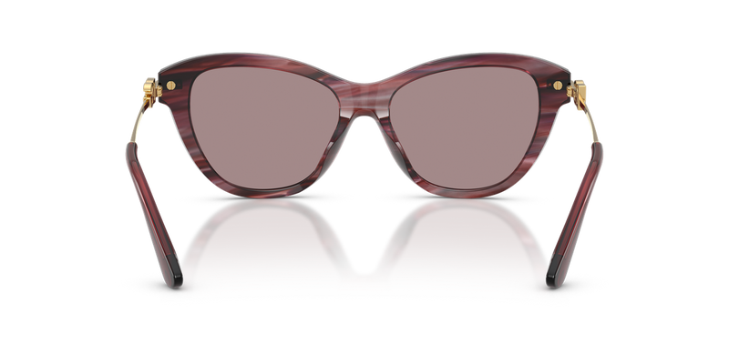 Dolce & Gabbana DG4534 in Striped Violet / Violet (3474LA) - Temple Detail