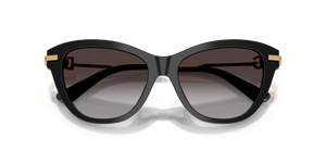 Black / Light Grey Gradient Black (501/8G)