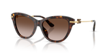 Havana / Light Brown Gradient Dark Brow (502/13)
