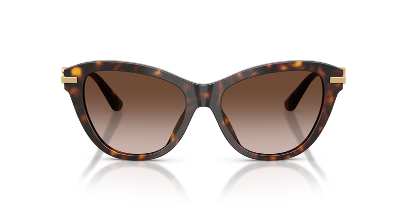 Dolce & Gabbana DG4534 in Havana / Light Brown Gradient Dark Brow (502/13) - Alternate View