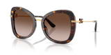 Havana / Brown Gradient (502/13)
