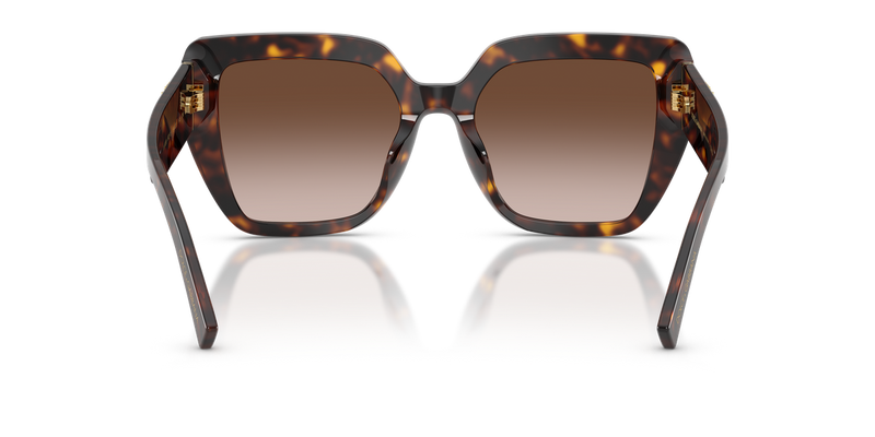 Dolce & Gabbana DG4538 in Havana / Gradient Brown (502/13) - Alternate View