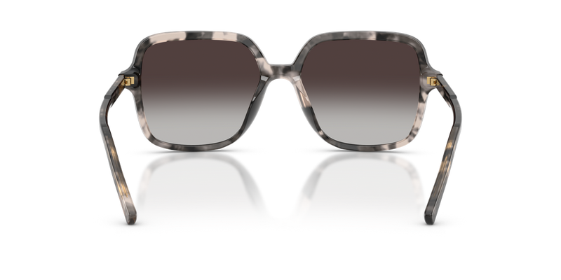 Dolce & Gabbana DG4539 in Grey Havana / Grey Gradient (31728G) - Temple Detail