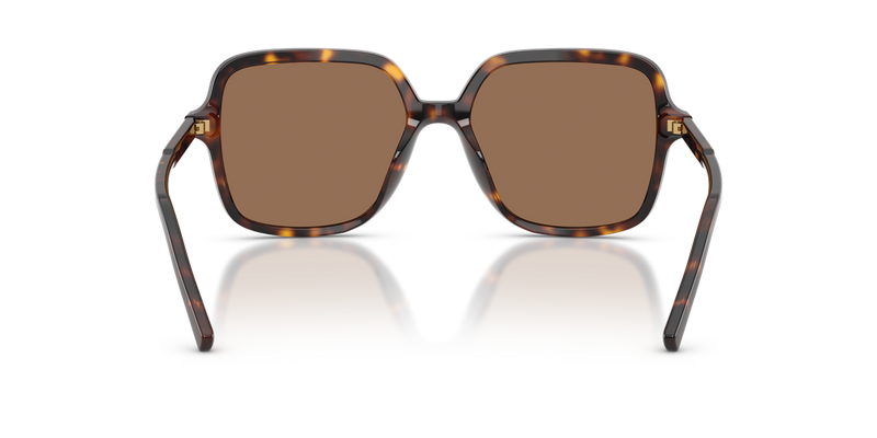 Dolce & Gabbana DG4539 in Havana / Dark Brown (502/73) - Alternate View