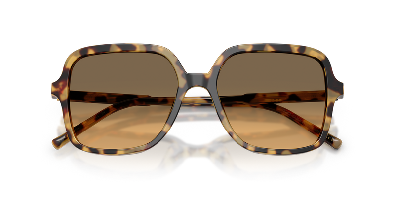 Dolce & Gabbana DG4539 in Yellow Havana / Yellow Gradient Grey (512/11) - Alternate View