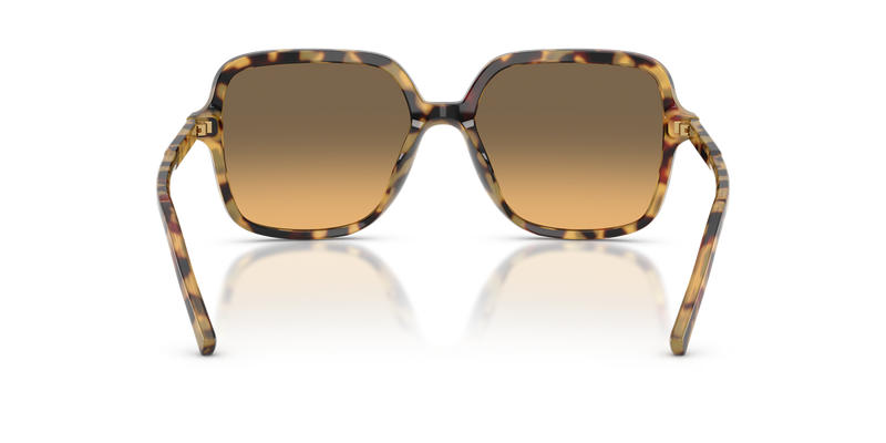 Dolce & Gabbana DG4539 in Yellow Havana / Yellow Gradient Grey (512/11) - Alternate View