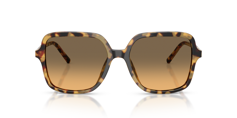 Dolce & Gabbana DG4539 in Yellow Havana / Yellow Gradient Grey (512/11) - Alternate View