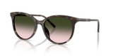 Green Havana / Light Brown Gradient Green (34782C)