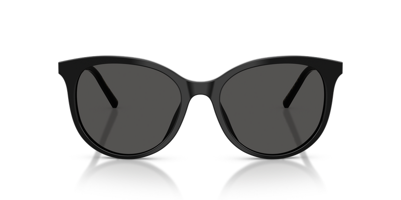 Dolce & Gabbana DG4540 in Black / Dark Grey (501/87) - Alternate View