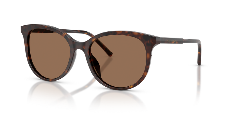 Dolce & Gabbana DG4540 in Havana / Dark Brown (502/13) - Alternate View