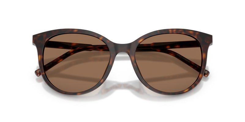 Dolce & Gabbana DG4540 in Havana / Dark Brown (502/13) - Alternate View