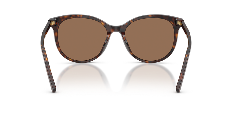 Dolce & Gabbana DG4540 in Havana / Dark Brown (502/13) - Alternate View