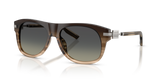 Gradient Striped Grey / Grey Gradient (348411)